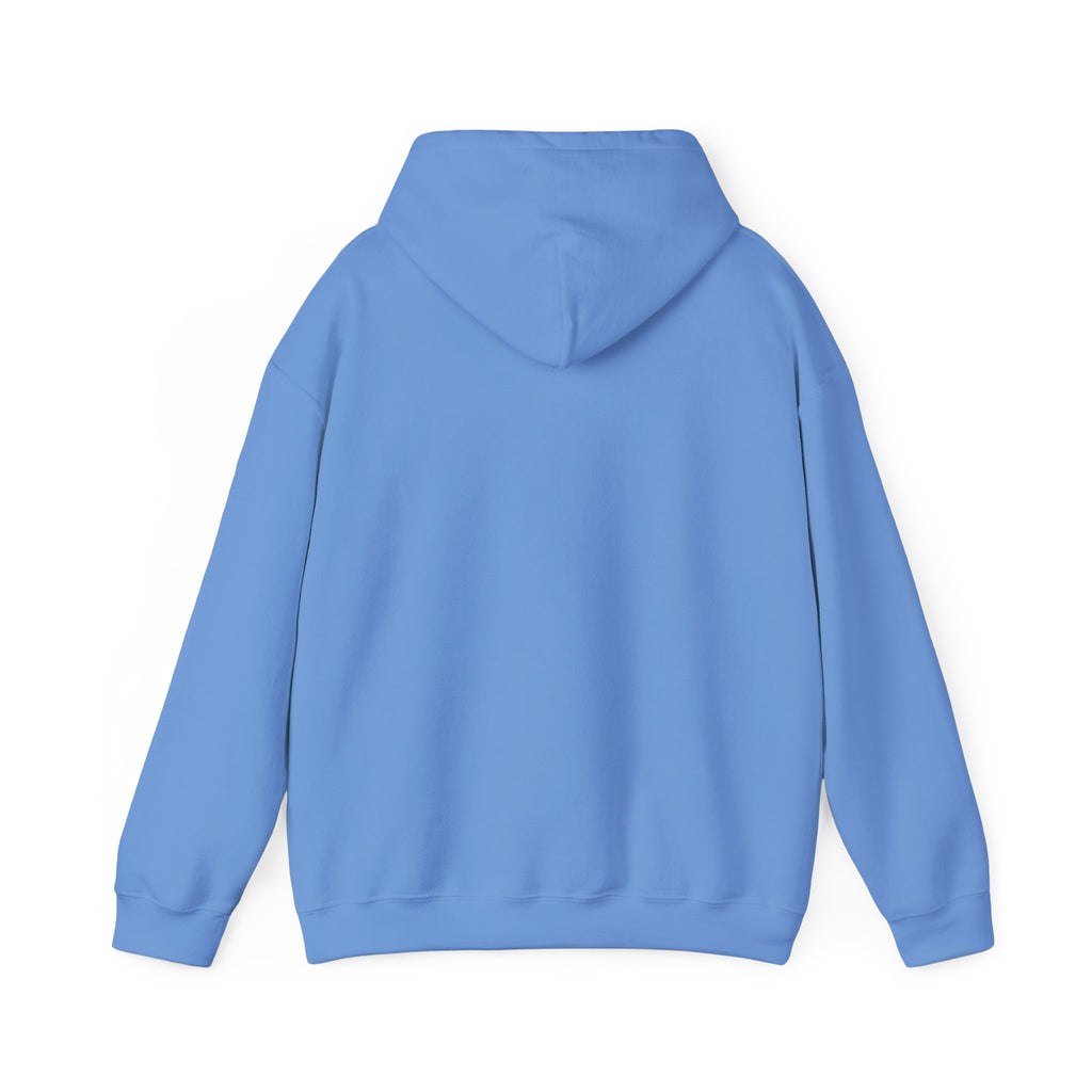 Holiday Gift Sweatshirt | Cozy Unisex Hoodie for Celebrations, Christmas, Birthdays, Gift Giving, and Everyday Wear