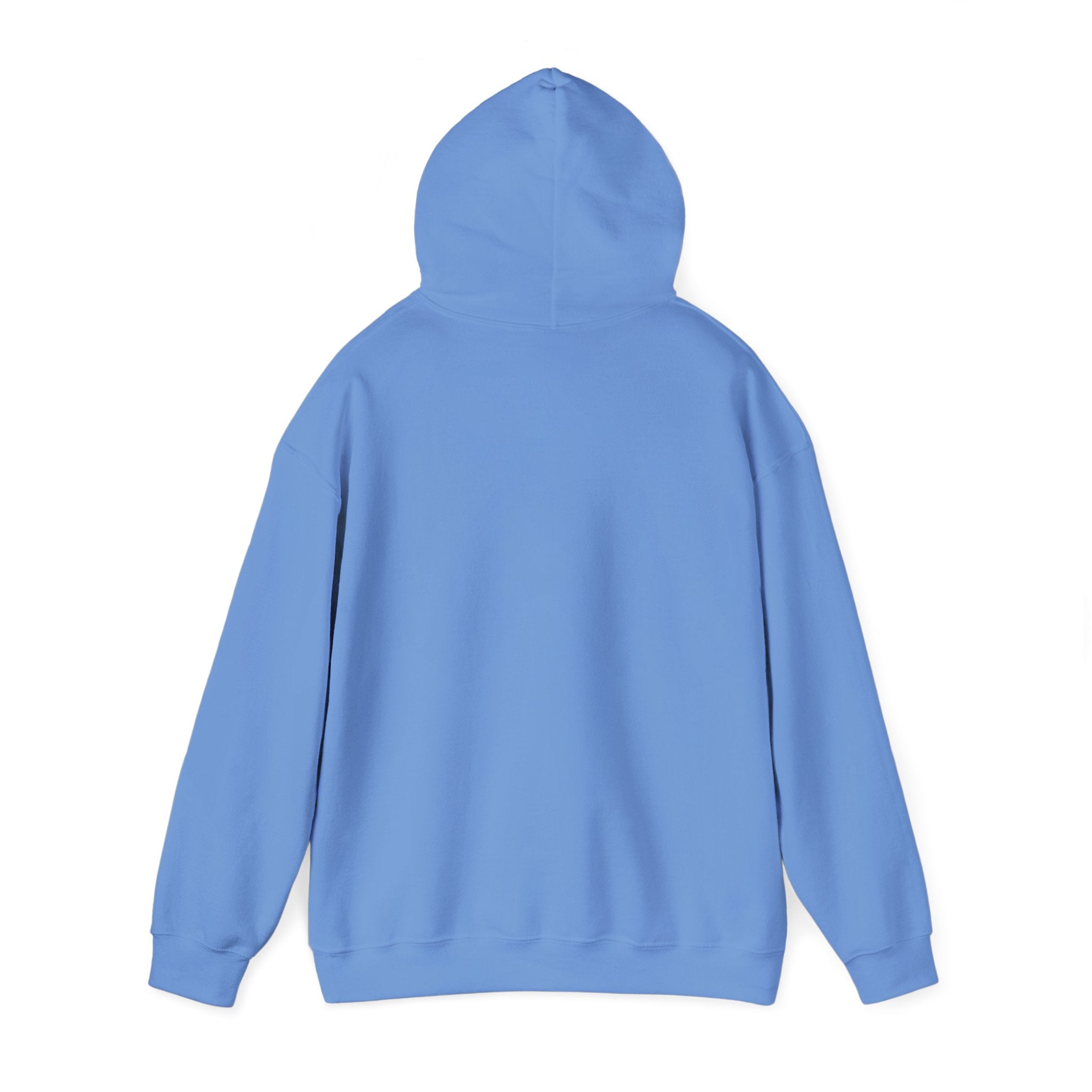 Holiday Gift Sweatshirt | Cozy Unisex Hoodie for Celebrations, Christmas, Birthdays, Gift Giving, and Everyday Wear