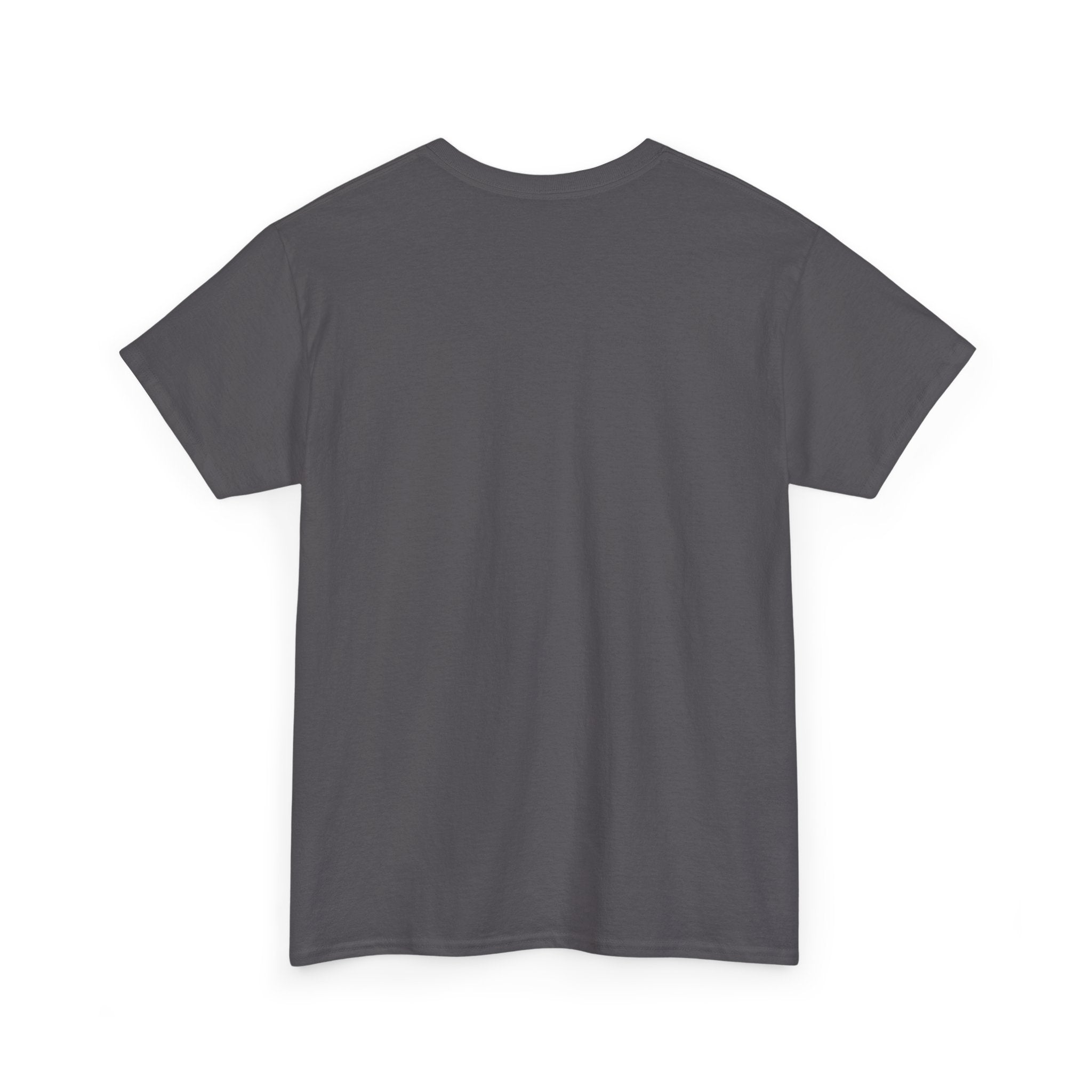 Retired Porn Star Unisex Heavy Cotton Tee, Funny Gift, Party Tee, Humorous Shirt, Adult Humor Apparel, Birthday Present