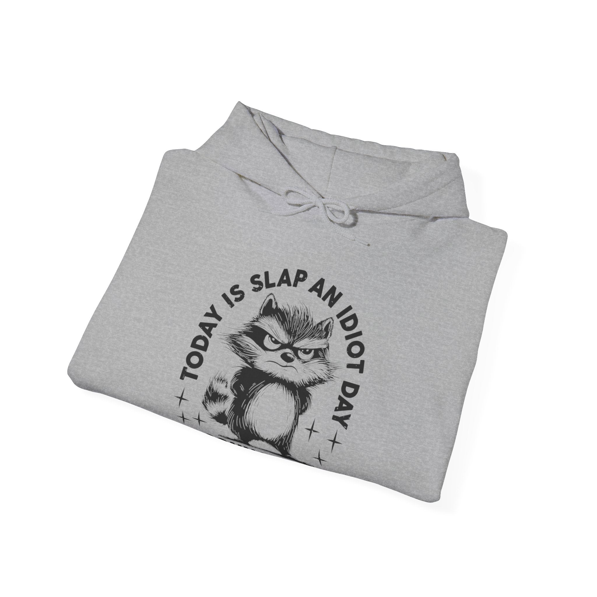 Funny Cat Quote Hoodie - Today is Slap an Idiot Day, Gift for Cat Lovers, Humor Sweatshirt, Cozy Unisex Top, Unique Birthday Present