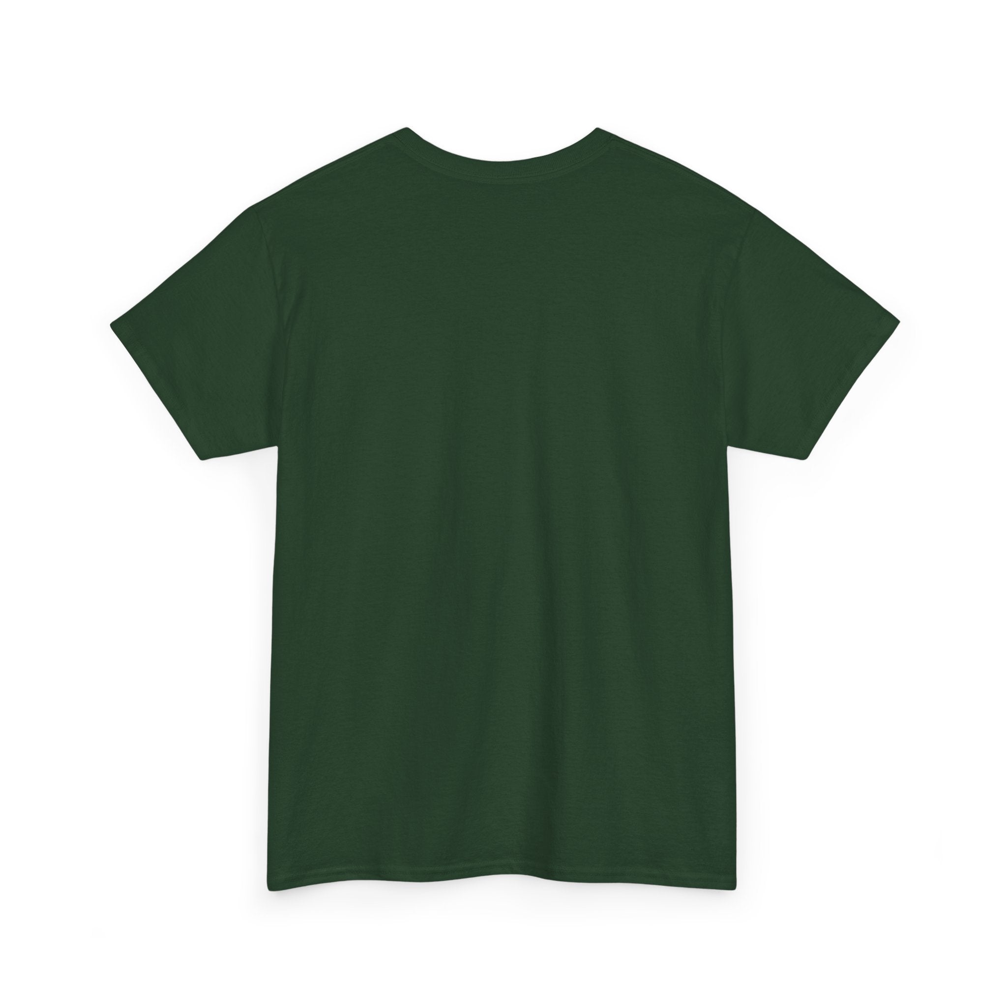 Retired Porn Star Unisex Heavy Cotton Tee, Funny Gift, Party Tee, Humorous Shirt, Adult Humor Apparel, Birthday Present