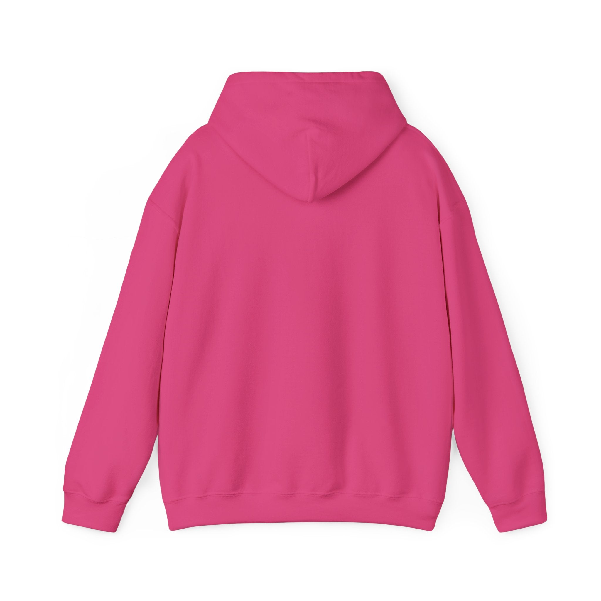 Holiday Gift Sweatshirt | Cozy Unisex Hoodie for Celebrations, Christmas, Birthdays, Gift Giving, and Everyday Wear